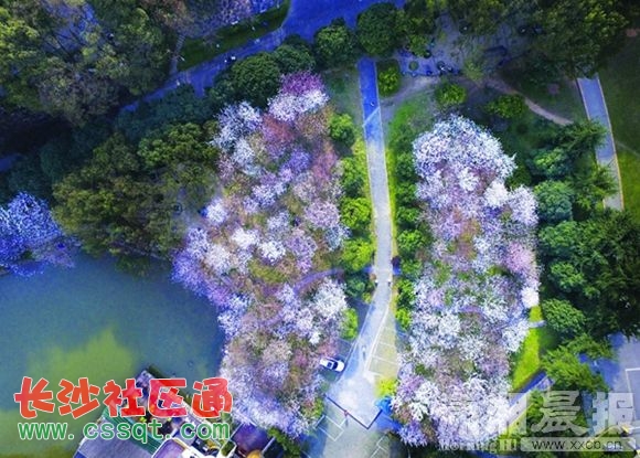huangj160356.JPG